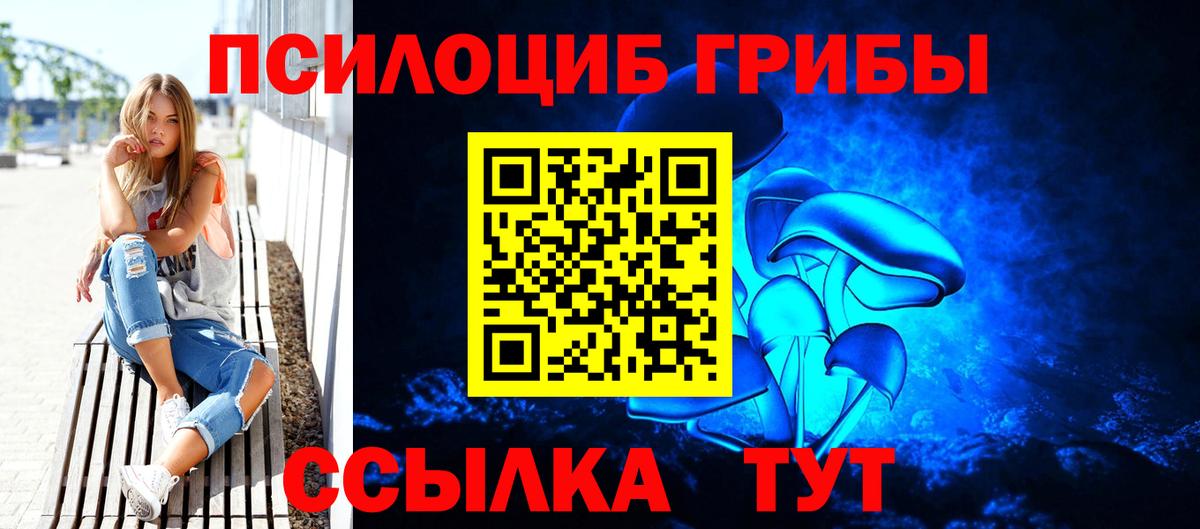 Галлюциногенные грибы Psilocybine cubensis  купить   Галлюциногенные грибы мицелий  Когалым  Вход с VPN 