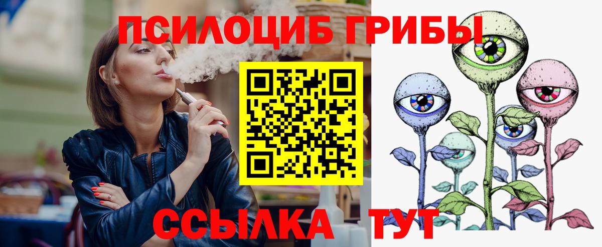 Псилоцибиновые грибы Psilocybe Когалым